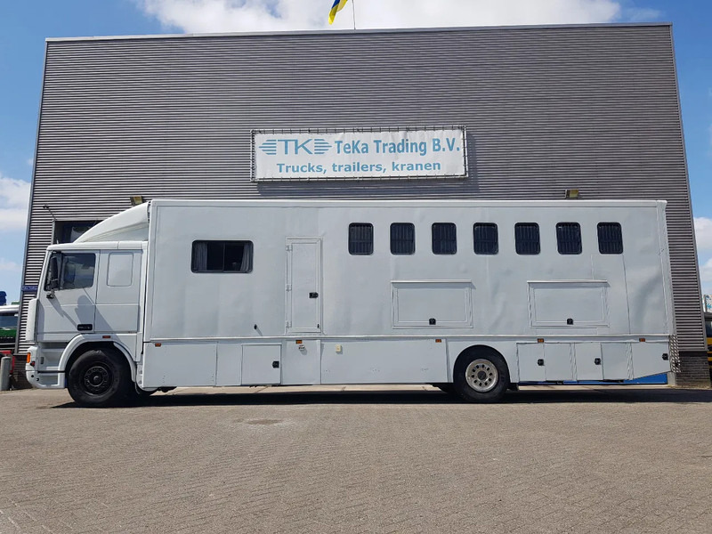 DAF 95.350 Paardenwagen met zitverblijf 7 paarden 7 horses - Lószállító kamion: 3 kép. DAF 95.350 Paardenwagen met zitverblijf 7 paarden 7 horses - Lószállító kamion: 3 kép.