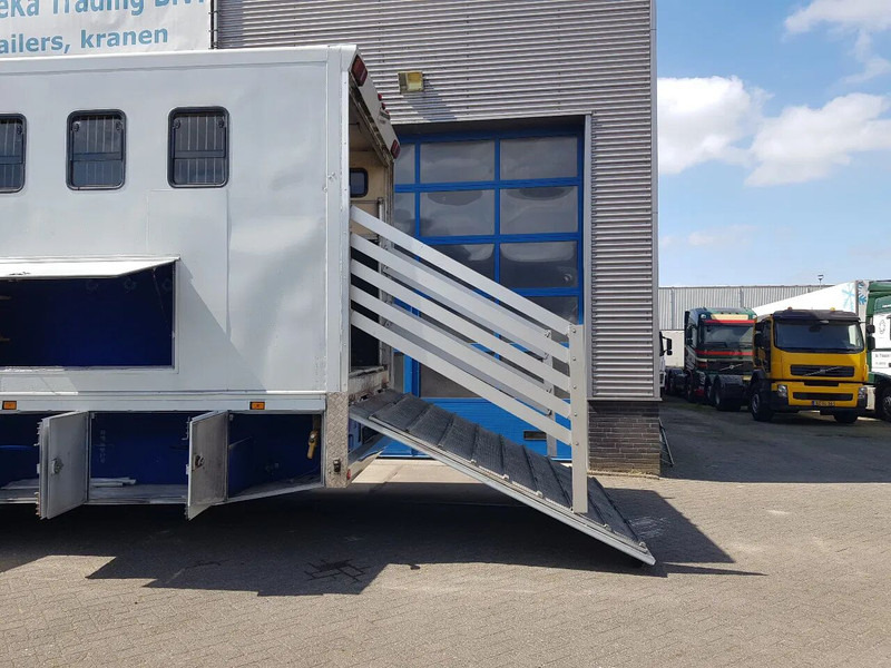 DAF 95.350 Paardenwagen met zitverblijf 7 paarden 7 horses - Lószállító kamion: 5 kép. DAF 95.350 Paardenwagen met zitverblijf 7 paarden 7 horses - Lószállító kamion: 5 kép.