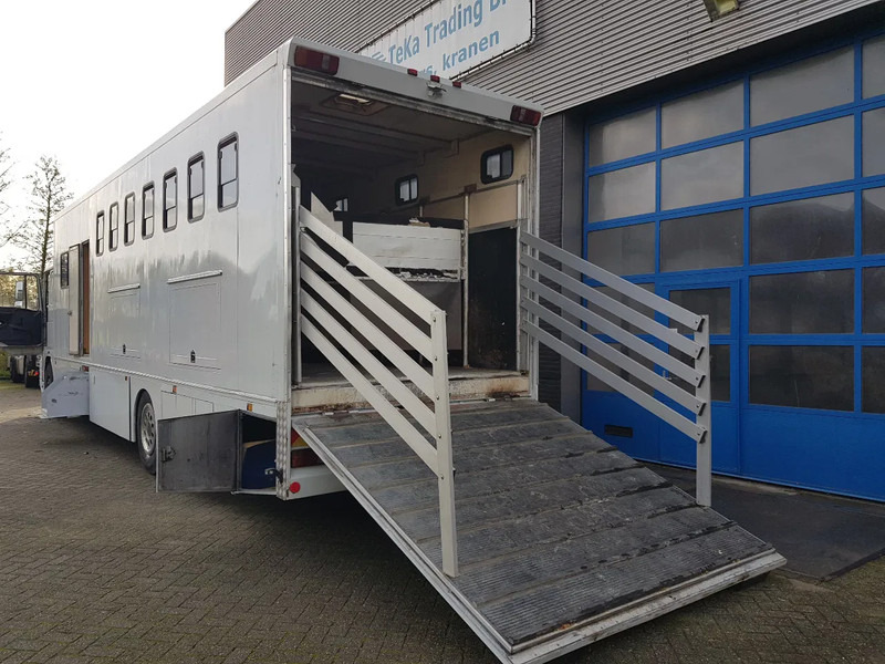 DAF 95.350 Paardenwagen met zitverblijf 7 paarden 7 horses - Lószállító kamion: 5 kép. DAF 95.350 Paardenwagen met zitverblijf 7 paarden 7 horses - Lószállító kamion: 5 kép.