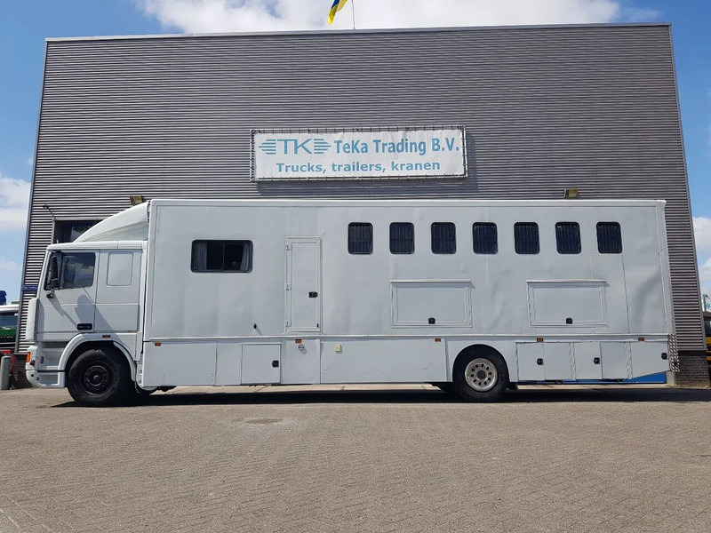 DAF 95.350 Paardenwagen met zitverblijf 7 paarden 7 horses - Lószállító kamion: 3 kép. DAF 95.350 Paardenwagen met zitverblijf 7 paarden 7 horses - Lószállító kamion: 3 kép.