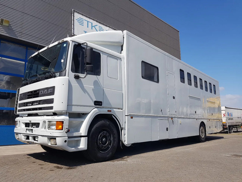DAF 95.350 Paardenwagen met zitverblijf 7 paarden 7 horses - Lószállító kamion: 1 kép. DAF 95.350 Paardenwagen met zitverblijf 7 paarden 7 horses - Lószállító kamion: 1 kép.