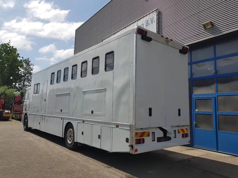 DAF 95.350 Paardenwagen met zitverblijf 7 paarden 7 horses - Lószállító kamion: 4 kép. DAF 95.350 Paardenwagen met zitverblijf 7 paarden 7 horses - Lószállító kamion: 4 kép.