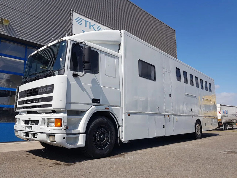 DAF 95.350 Paardenwagen met zitverblijf 7 paarden 7 horses - Lószállító kamion: 1 kép. DAF 95.350 Paardenwagen met zitverblijf 7 paarden 7 horses - Lószállító kamion: 1 kép.