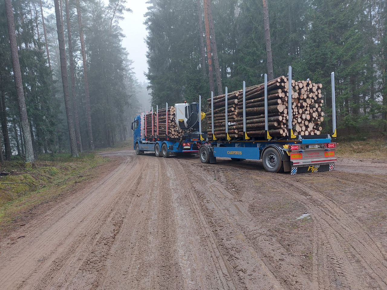 Hydrofast Przyczepa 2 osiowa do drewna stosowego HFP2/2-axle timber trailer HFP2 - Rönkszállító pótkocsi: 3 kép. Hydrofast Przyczepa 2 osiowa do drewna stosowego HFP2/2-axle timber trailer HFP2 - Rönkszállító pótkocsi: 3 kép.