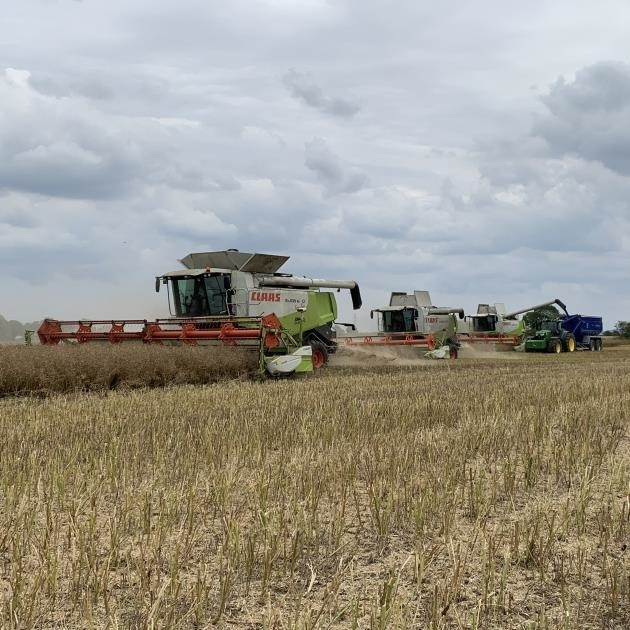 Grain Saver Grain Saver Chaser Bin *Hire* *Video Below* - Mezőgazdasági pótkocsi: 4 kép. Grain Saver Grain Saver Chaser Bin *Hire* *Video Below* - Mezőgazdasági pótkocsi: 4 kép.