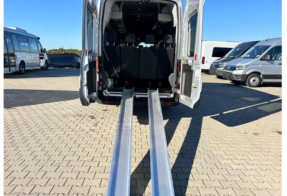 Minibusz, Kisbusz Ford Transit: 13 kép.