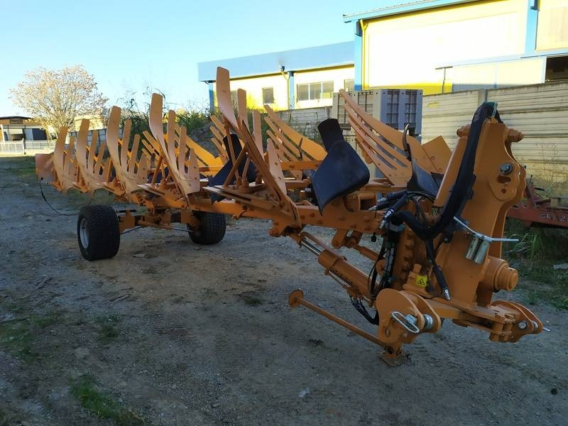 MORO PNT 14 - Eke: 1 kép. MORO PNT 14 - Eke: 1 kép.