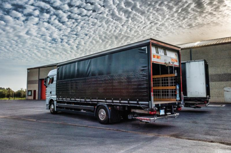 MAN TGX 18.400 XLX+HAYON - Ponyvás teherautó: 4 kép. MAN TGX 18.400 XLX+HAYON - Ponyvás teherautó: 4 kép.