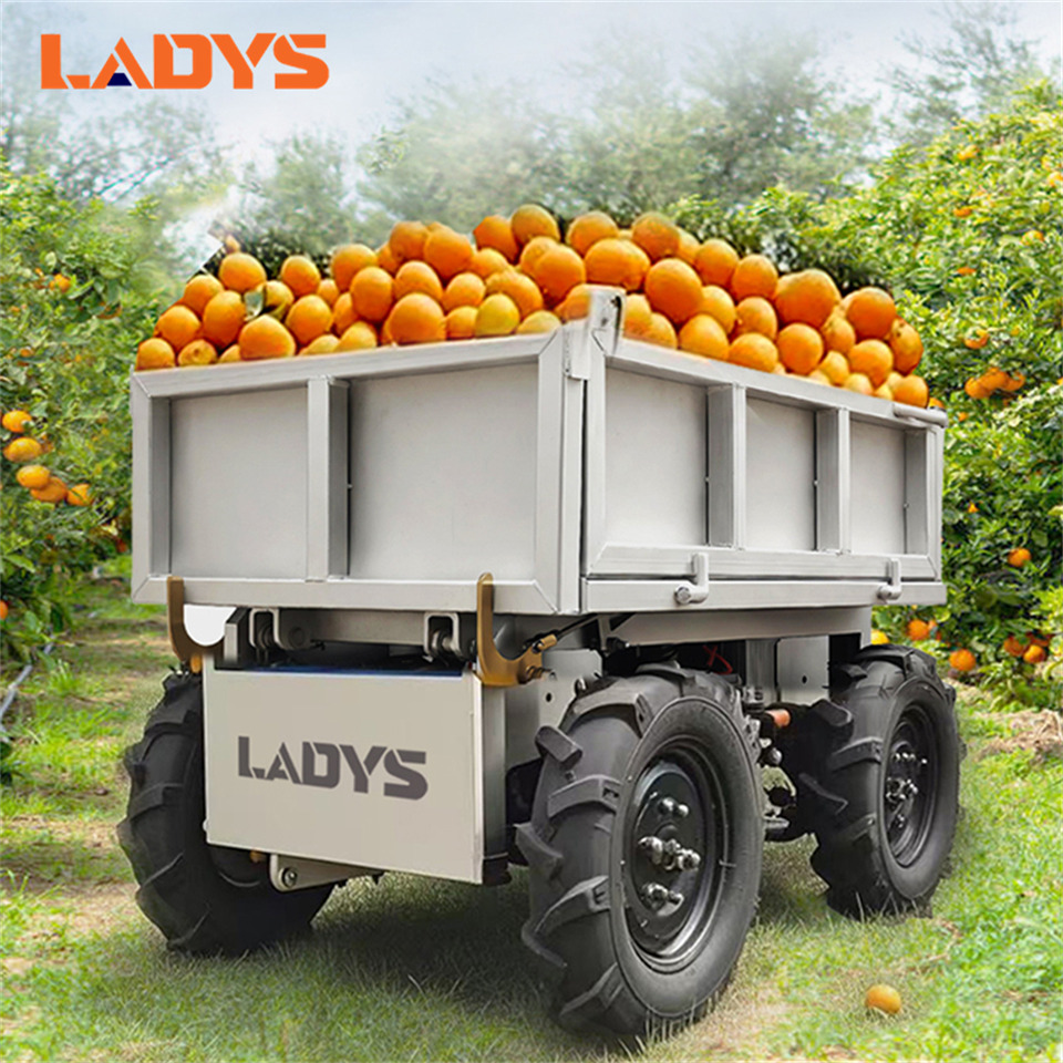 LADYS All-Terrain Four-Wheel Drive And Eight-Wheel Drive Transport Truck, Mountain Area Farm Orchard Greenhouse Construction Site Creeper Remote Control Electric Agricultural Transport Vehicle - ATV/ Quad: 1 kép. LADYS All-Terrain Four-Wheel Drive And Eight-Wheel Drive Transport Truck, Mountain Area Farm Orchard Greenhouse Construction Site Creeper Remote Control Electric Agricultural Transport Vehicle - ATV/ Quad: 1 kép.