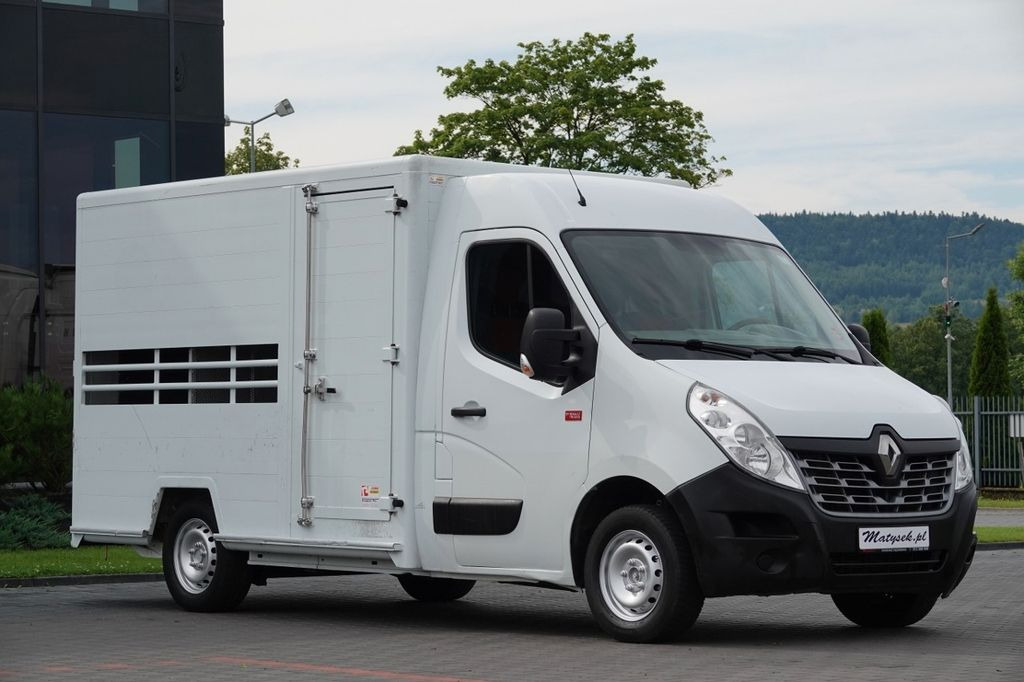 Renault DO ŻYWCA / DO PRZEWOZU ZWIERZĄT / 2016 ROK / SP - Állatszállító teherautó, Kisteherautó: 1 kép. Renault DO ŻYWCA / DO PRZEWOZU ZWIERZĄT / 2016 ROK / SP - Állatszállító teherautó, Kisteherautó: 1 kép.