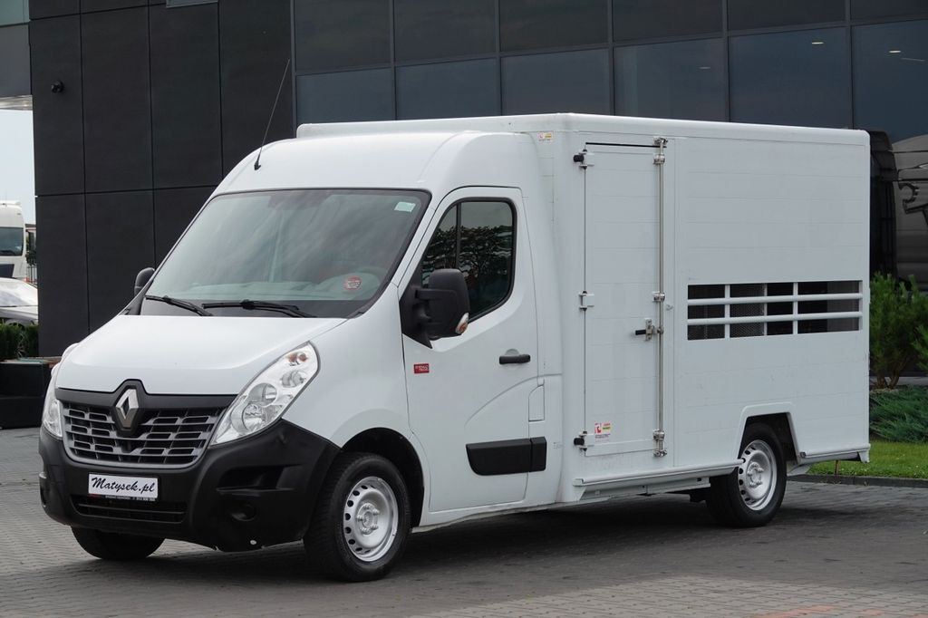 Renault DO ŻYWCA / DO PRZEWOZU ZWIERZĄT / 2016 ROK / SP - Állatszállító teherautó, Kisteherautó: 2 kép. Renault DO ŻYWCA / DO PRZEWOZU ZWIERZĄT / 2016 ROK / SP - Állatszállító teherautó, Kisteherautó: 2 kép.