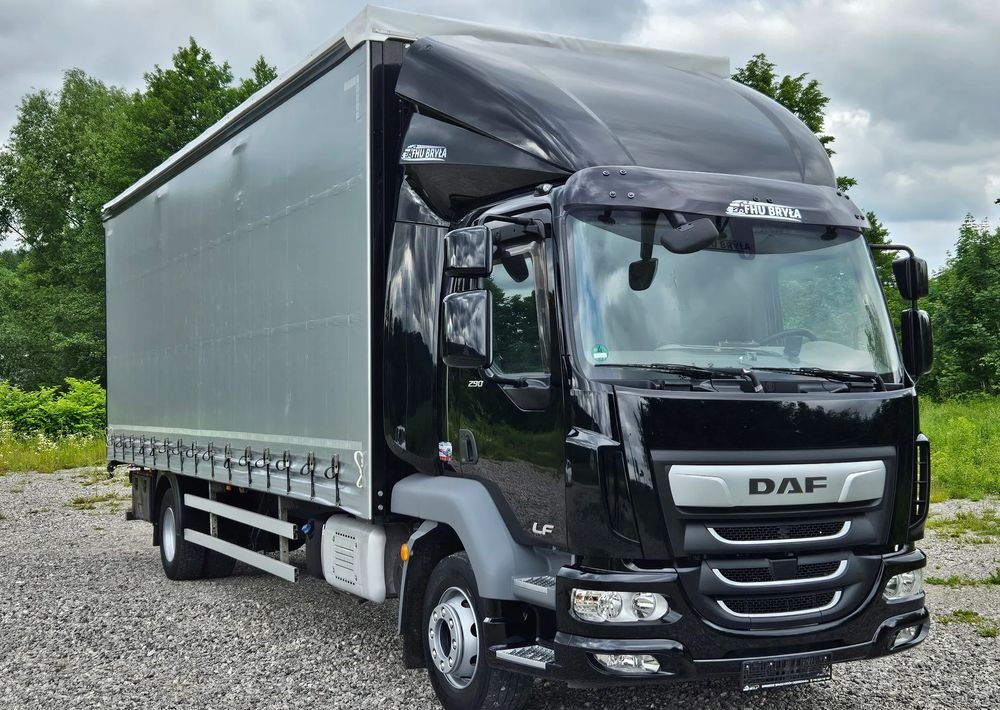 DAF LF 290 / WINDA / 16TON DMC / FIRANKA / AUTOMAT / JEDEN WŁAŚCICIE / EURO 6 / 2019 / SPROWADZONY / 20PALET / NISKI PRZEBIEG / DUŻA ŁADOWNOŚĆ / JAK NOWY - Ponyvás teherautó: 3 kép. DAF LF 290 / WINDA / 16TON DMC / FIRANKA / AUTOMAT / JEDEN WŁAŚCICIE / EURO 6 / 2019 / SPROWADZONY / 20PALET / NISKI PRZEBIEG / DUŻA ŁADOWNOŚĆ / JAK NOWY - Ponyvás teherautó: 3 kép.