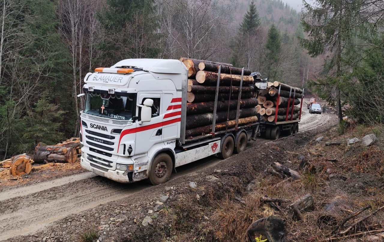 SCANIA R560 V8 - Rönkszállító teherautó, Darus autó: 2 kép. SCANIA R560 V8 - Rönkszállító teherautó, Darus autó: 2 kép.
