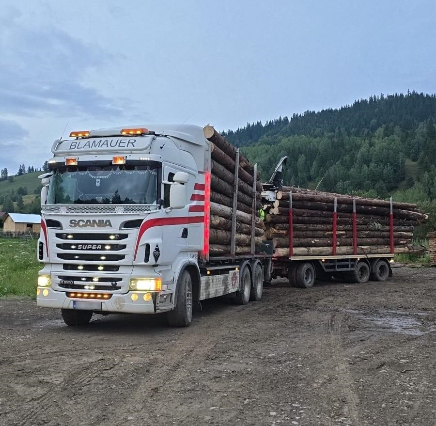 SCANIA R560 V8 - Rönkszállító teherautó, Darus autó: 1 kép. SCANIA R560 V8 - Rönkszállító teherautó, Darus autó: 1 kép.