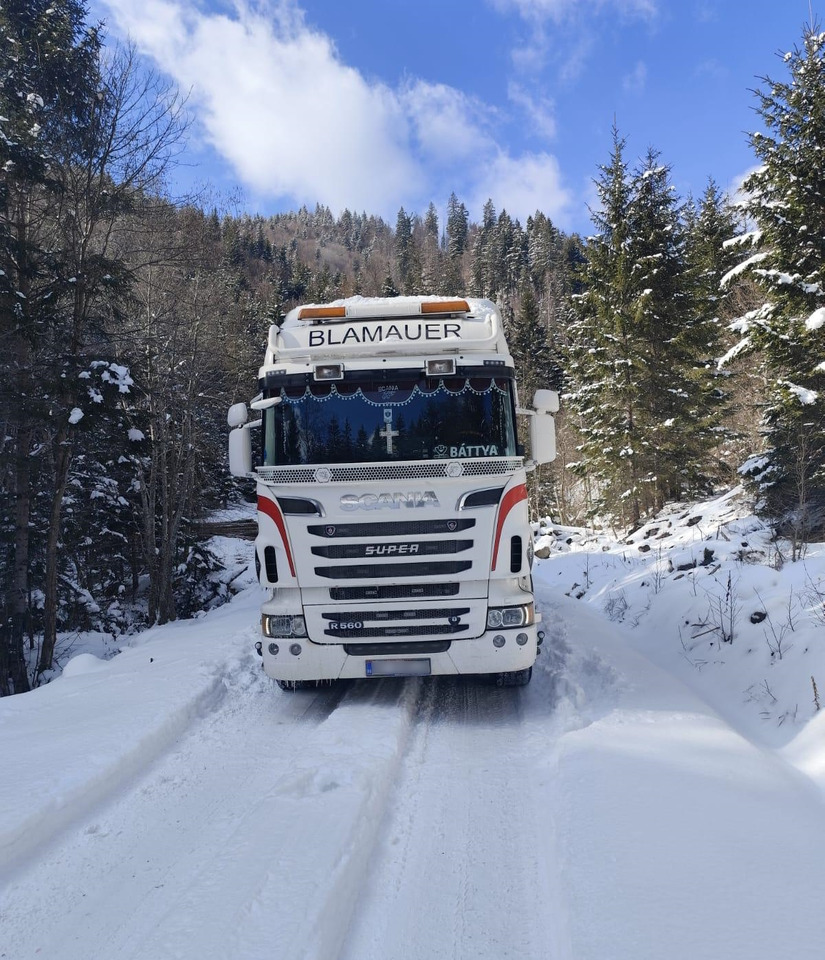 SCANIA R560 V8 - Rönkszállító teherautó, Darus autó: 4 kép. SCANIA R560 V8 - Rönkszállító teherautó, Darus autó: 4 kép.