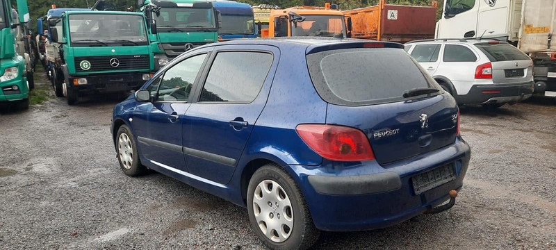 Peugeot 307 Grand Filou - Hatchback: 1 kép. Peugeot 307 Grand Filou - Hatchback: 1 kép.