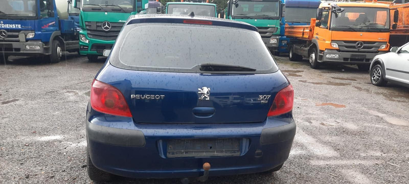 Peugeot 307 Grand Filou - Hatchback: 4 kép. Peugeot 307 Grand Filou - Hatchback: 4 kép.