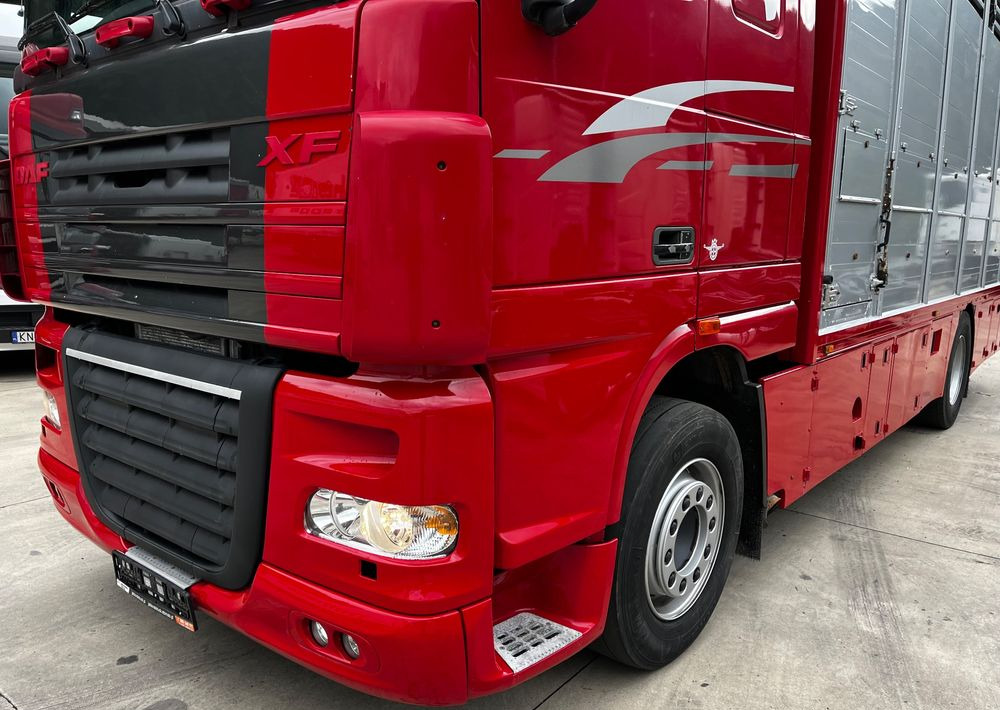 DAF XF 105.460 Euro 5 // Manual // Retarder // Do Żywca / Bydła / Zwierząt / - Állatszállító teherautó: 4 kép. DAF XF 105.460 Euro 5 // Manual // Retarder // Do Żywca / Bydła / Zwierząt / - Állatszállító teherautó: 4 kép.