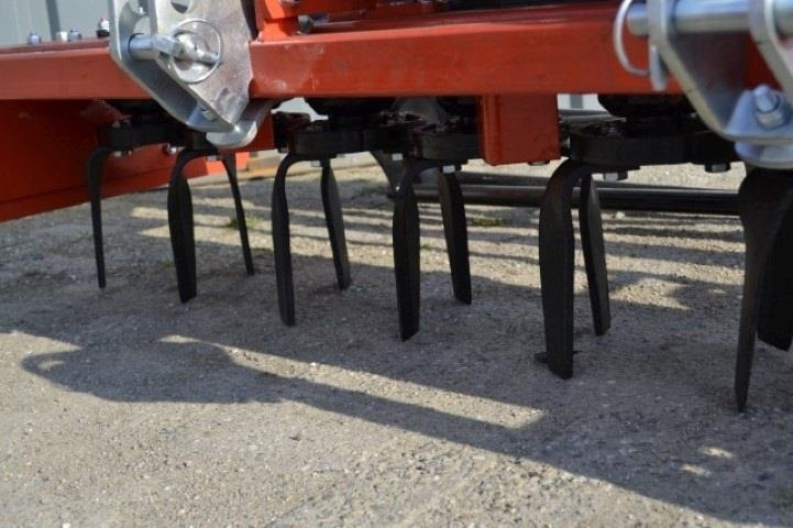 - - - boxer - Borona: 4 kép. - - - boxer - Borona: 4 kép.