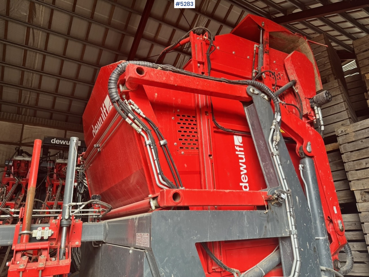 2020 Dewulf GB11 Carrot Harvester. Well equipped. - Betakarító gép: 5 kép. 2020 Dewulf GB11 Carrot Harvester. Well equipped. - Betakarító gép: 5 kép.