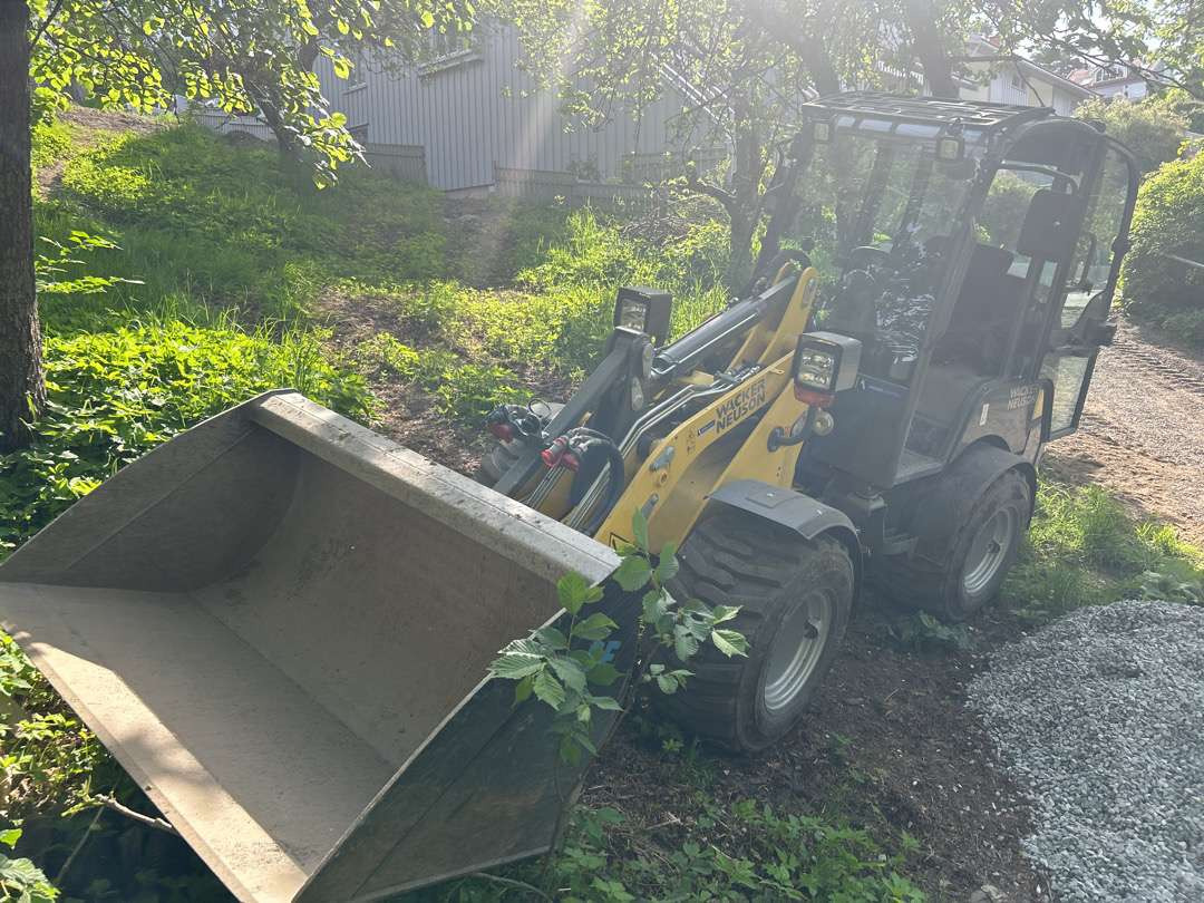 2023 Hjullaster Wacker Neuson WL 25 (lavt timeantall 168 ) - Gumikerekes homlokrakodó: 2 kép. 2023 Hjullaster Wacker Neuson WL 25 (lavt timeantall 168 ) - Gumikerekes homlokrakodó: 2 kép.