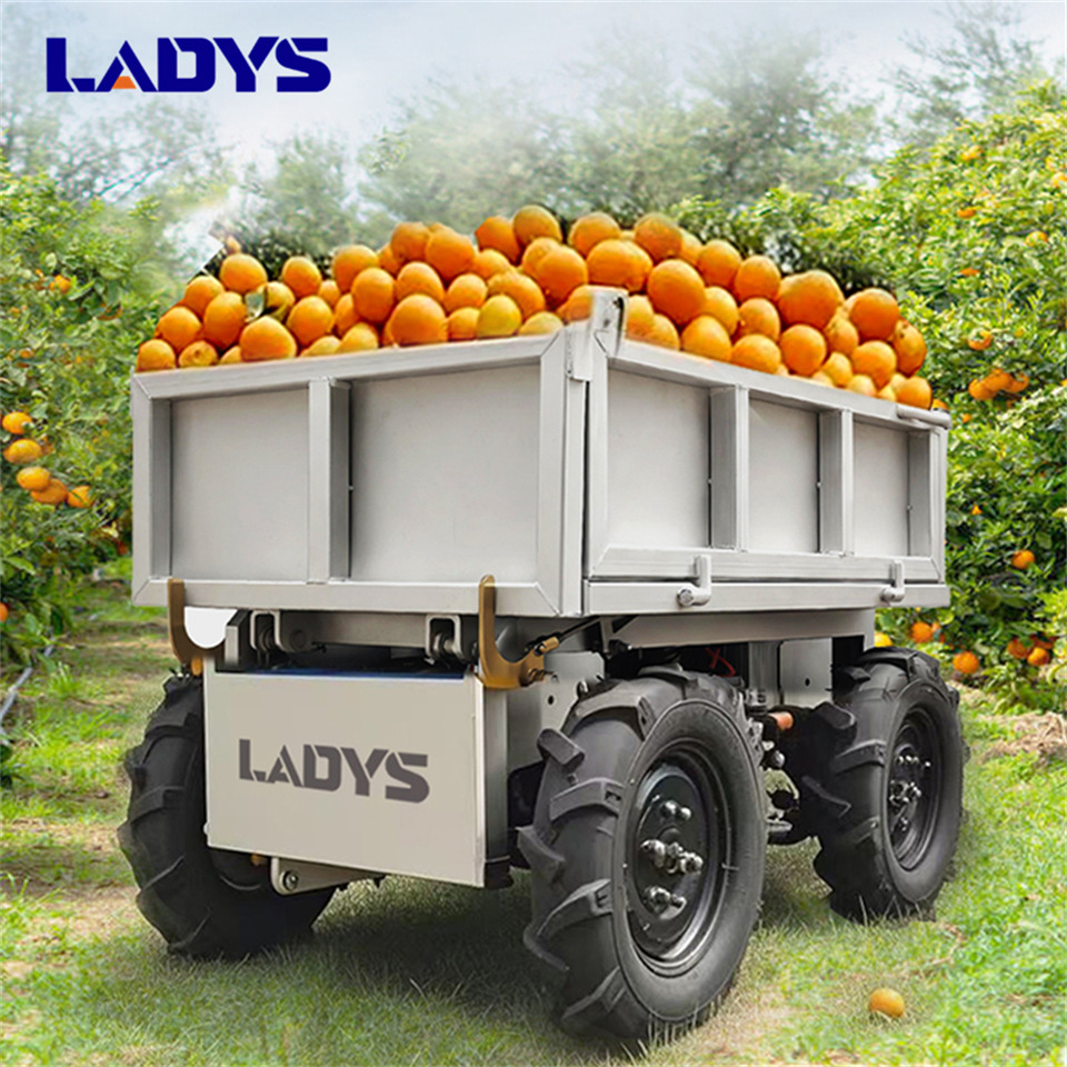 LADYS Electric Remote Control Transporter Agricultural Orchard Farm Electric Utv Material Handling Equipment All Terrain Transport Vehicle - Mezőgazdasági billenőpótkocsi: 1 kép. LADYS Electric Remote Control Transporter Agricultural Orchard Farm Electric Utv Material Handling Equipment All Terrain Transport Vehicle - Mezőgazdasági billenőpótkocsi: 1 kép.