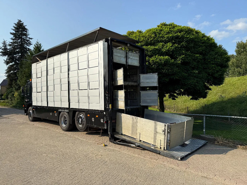 Volvo FM 300 Livestock Cuppers 3 laags 6x2 - Állatszállító teherautó: 2 kép. Volvo FM 300 Livestock Cuppers 3 laags 6x2 - Állatszállító teherautó: 2 kép.
