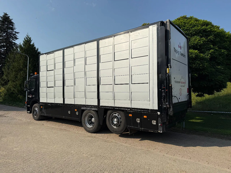 Volvo FM 300 Livestock Cuppers 3 laags 6x2 - Állatszállító teherautó: 5 kép. Volvo FM 300 Livestock Cuppers 3 laags 6x2 - Állatszállító teherautó: 5 kép.