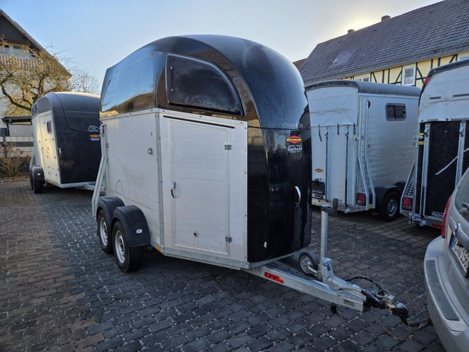 Böckmann, Pferdeanhänger, Champion R, top, SaKa. 100 km/h - Lószállító utánfutó: 5 kép. Böckmann, Pferdeanhänger, Champion R, top, SaKa. 100 km/h - Lószállító utánfutó: 5 kép.