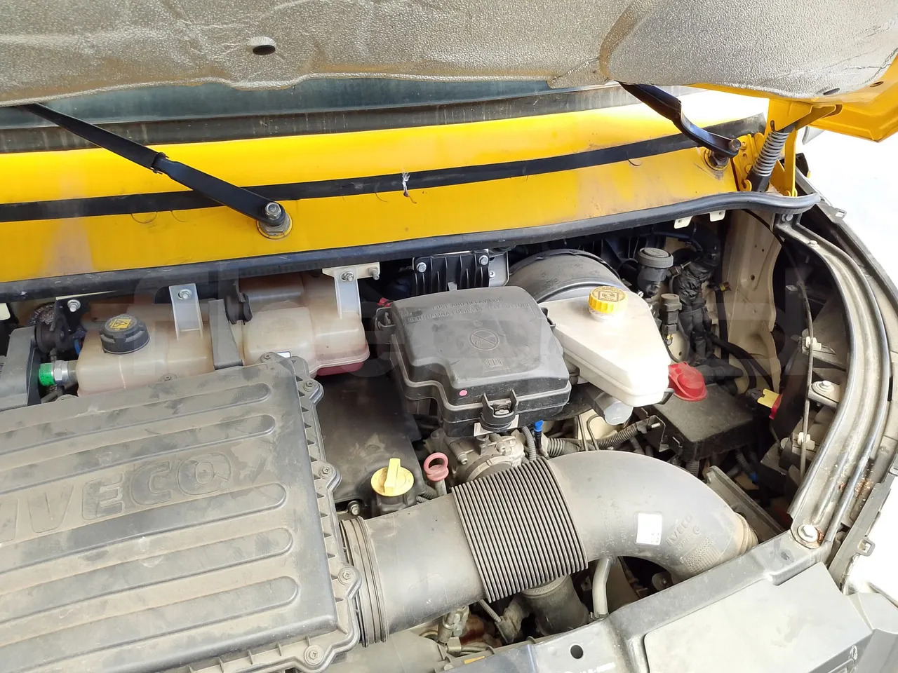 Iskolabusz Iveco Indcar: 19 kép.