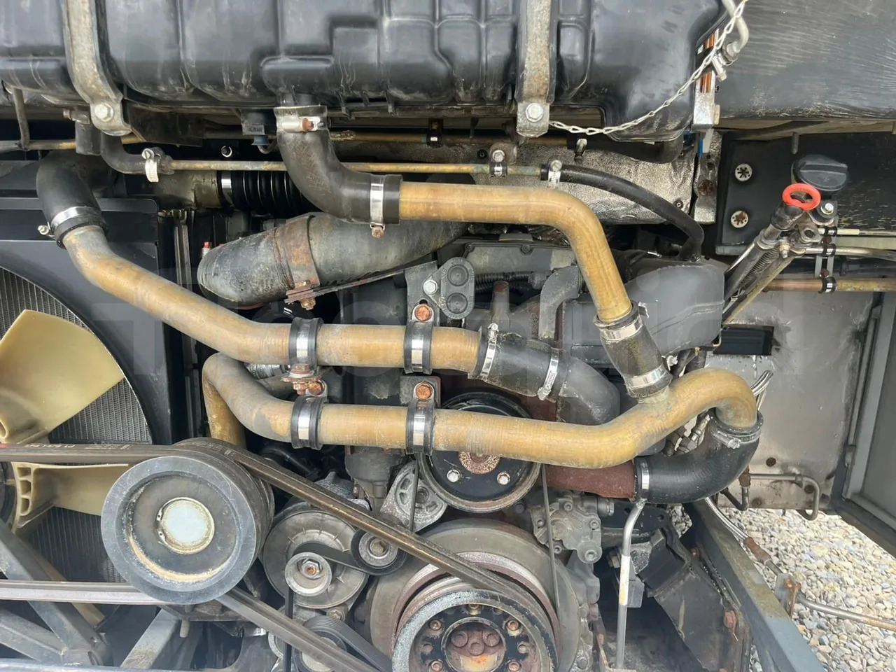 Helyközi busz Mercedes-Benz Intouro: 15 kép.