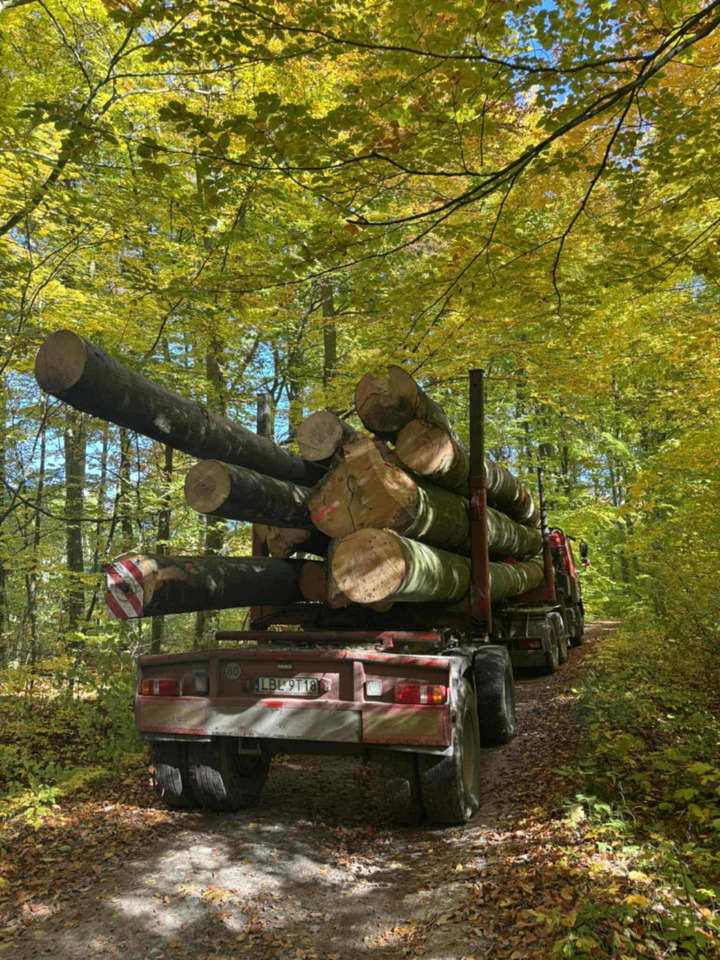 DAF CF510 - Rönkszállító teherautó, Darus autó: 3 kép. DAF CF510 - Rönkszállító teherautó, Darus autó: 3 kép.