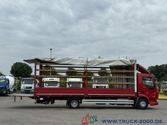 DAF LF220 Plane Spriegel Ladebordwand BÄR 1.500 Kg - Ponyvás teherautó: 3 kép. DAF LF220 Plane Spriegel Ladebordwand BÄR 1.500 Kg - Ponyvás teherautó: 3 kép.