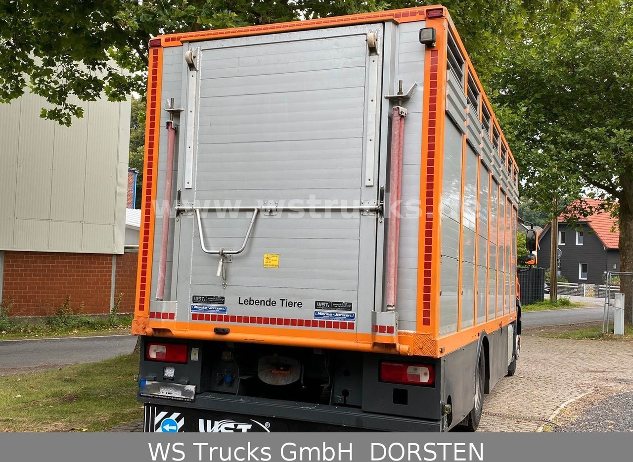 DAF CF 400 Menke Einstock - Lószállító kamion: 3 kép. DAF CF 400 Menke Einstock - Lószállító kamion: 3 kép.