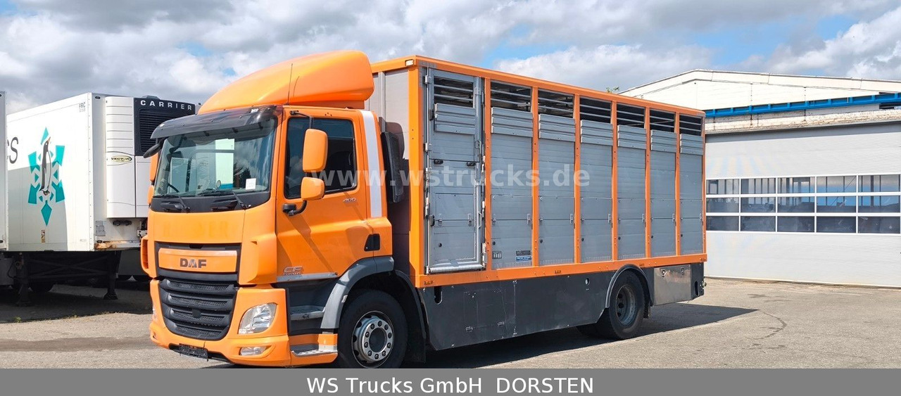 DAF CF 400 Menke Einstock Viehtransporter - Lószállító kamion: 3 kép. DAF CF 400 Menke Einstock Viehtransporter - Lószállító kamion: 3 kép.