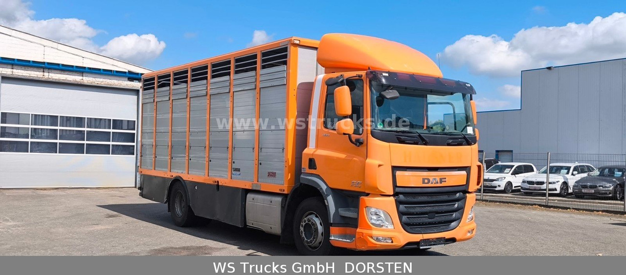 DAF CF 400 Menke Einstock Viehtransporter - Lószállító kamion: 4 kép. DAF CF 400 Menke Einstock Viehtransporter - Lószállító kamion: 4 kép.