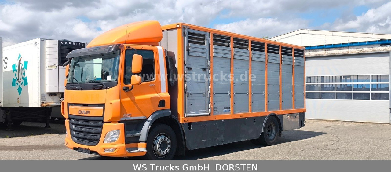 DAF CF 400 Menke Einstock Viehtransporter - Lószállító kamion: 2 kép. DAF CF 400 Menke Einstock Viehtransporter - Lószállító kamion: 2 kép.