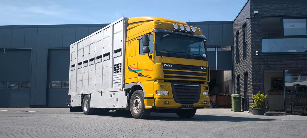 DAF XF 410 SC Menke Doppelstock - Lószállító kamion: 4 kép. DAF XF 410 SC Menke Doppelstock - Lószállító kamion: 4 kép.
