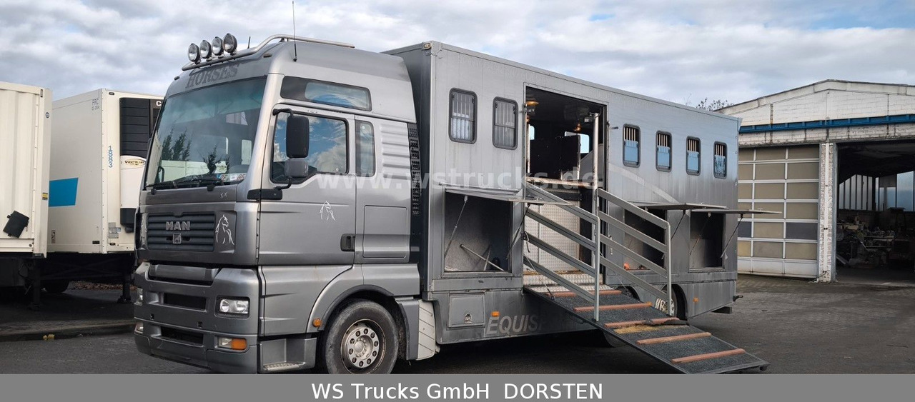 MAN TGA 26.480 FG 6x2 Pferdetransporter Luft/Luft - Lószállító kamion: 1 kép. MAN TGA 26.480 FG 6x2 Pferdetransporter Luft/Luft - Lószállító kamion: 1 kép.