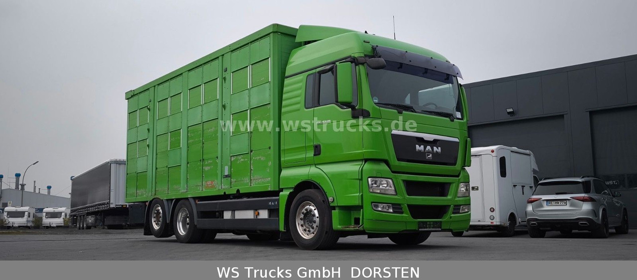 MAN TGX 26.480 XL KABA 3 Stock Viehtransporter - Lószállító kamion: 4 kép. MAN TGX 26.480 XL KABA 3 Stock Viehtransporter - Lószállító kamion: 4 kép.