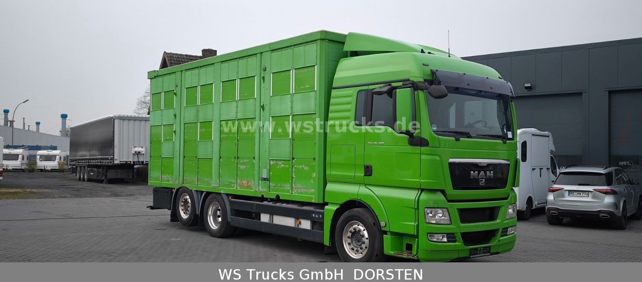 MAN TGX 26.480 XL KABA 3 Stock Viehtransporter - Lószállító kamion: 3 kép. MAN TGX 26.480 XL KABA 3 Stock Viehtransporter - Lószállító kamion: 3 kép.