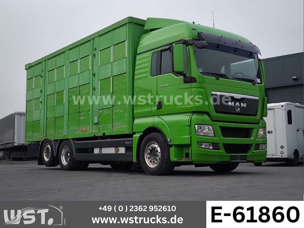 MAN TGX 26.480 XL KABA 3 Stock Viehtransporter - Lószállító kamion: 1 kép. MAN TGX 26.480 XL KABA 3 Stock Viehtransporter - Lószállító kamion: 1 kép.