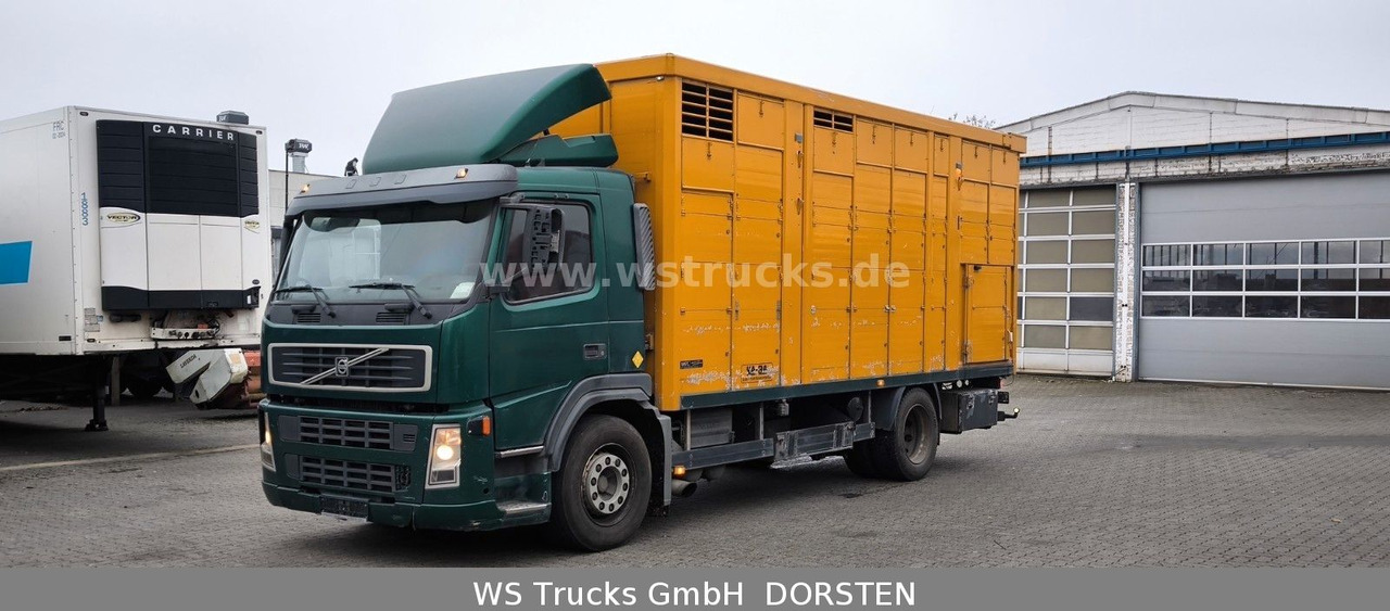 Volvo FM 260 mit KABA 2 Stock Vollalu Viehtransporter - Lószállító kamion: 2 kép. Volvo FM 260 mit KABA 2 Stock Vollalu Viehtransporter - Lószállító kamion: 2 kép.