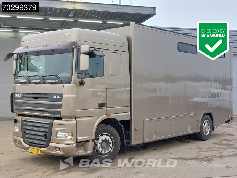 DAF XF105.410 XF 4X2 NL-Truck JK Horsetruck 6 Horses Pferdentransport Manual Euro 5 - Lószállító kamion: 1 kép. DAF XF105.410 XF 4X2 NL-Truck JK Horsetruck 6 Horses Pferdentransport Manual Euro 5 - Lószállító kamion: 1 kép.