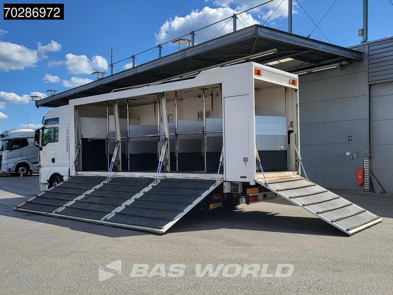 MAN TGX 26.480 TGX 6X2 NL-Truck BDF HorseTransport Lift+steering axle Standklima Automatic Xenon Alcoa´s Euro 5 - Cserefelépítményes teherautó: 2 kép. MAN TGX 26.480 TGX 6X2 NL-Truck BDF HorseTransport Lift+steering axle Standklima Automatic Xenon Alcoa´s Euro 5 - Cserefelépítményes teherautó: 2 kép.