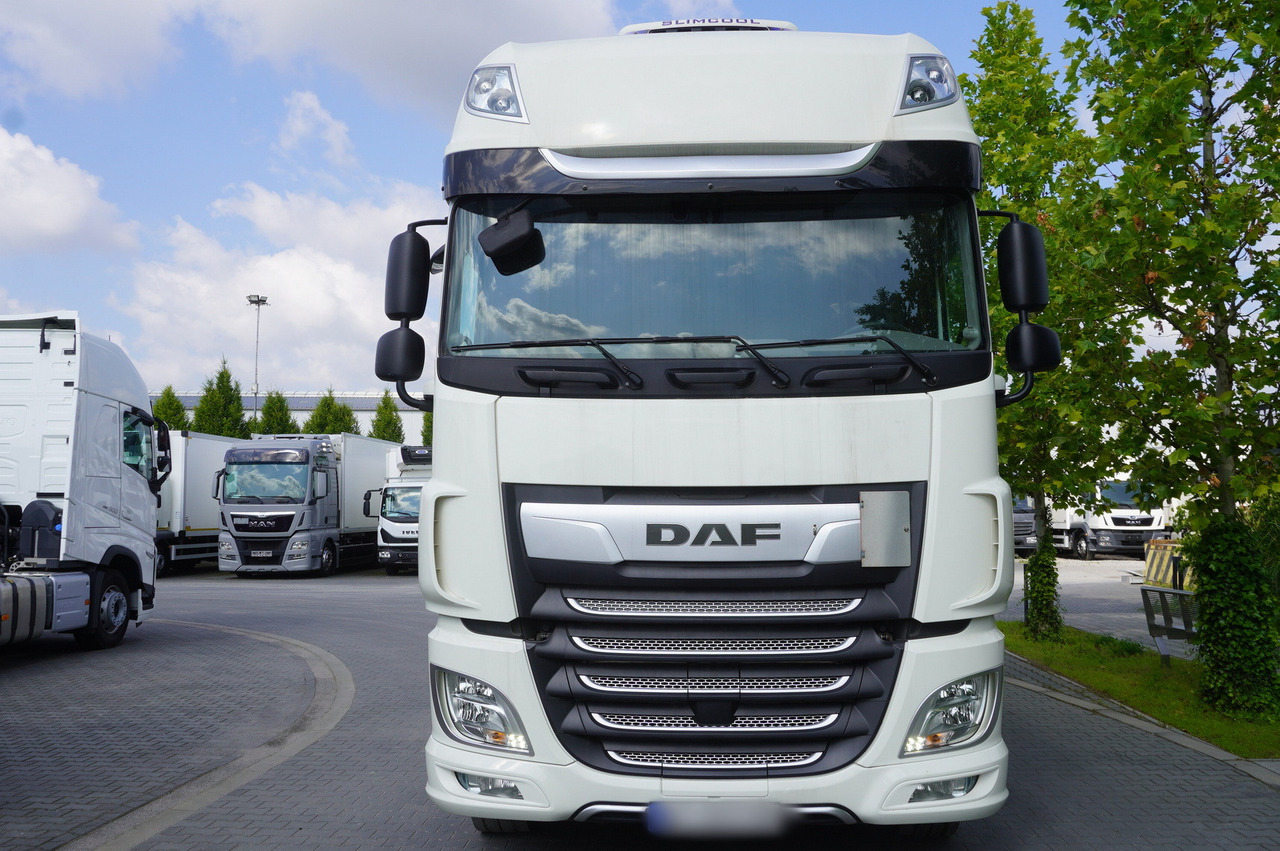 Ponyvás teherautó DAF DAF XF 480 SSC / Curtainsider 19 EPAL / 2021: 8 kép.