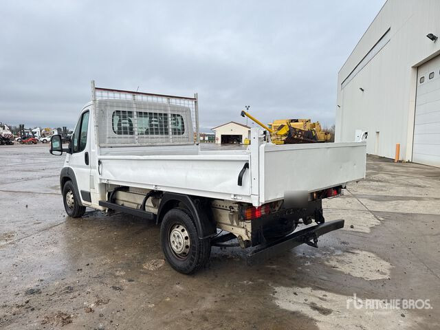 2015 Fiat Ducato Maxi 130 Multijet 4x2 Camion Benne Dump Truck: Light Duty - Billenőplatós teherautó: 3 kép. 2015 Fiat Ducato Maxi 130 Multijet 4x2 Camion Benne Dump Truck: Light Duty - Billenőplatós teherautó: 3 kép.