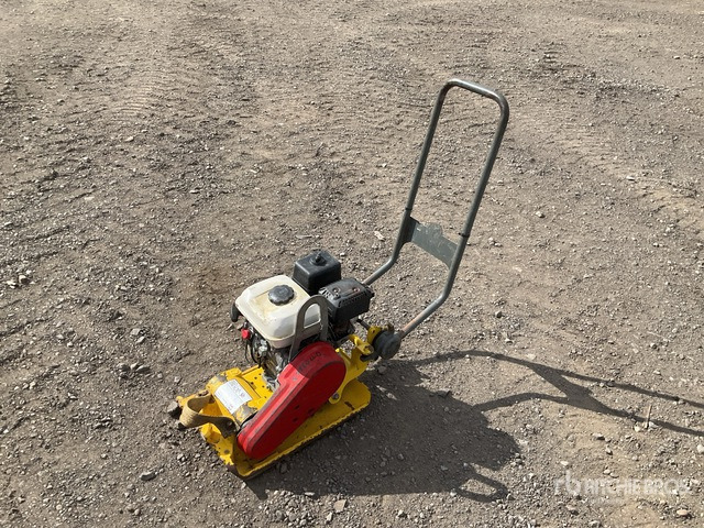 2019 Wacker Neuson VP1135A Vibratory Plate Compactor - Lapvibrátor: 1 kép. 2019 Wacker Neuson VP1135A Vibratory Plate Compactor - Lapvibrátor: 1 kép.