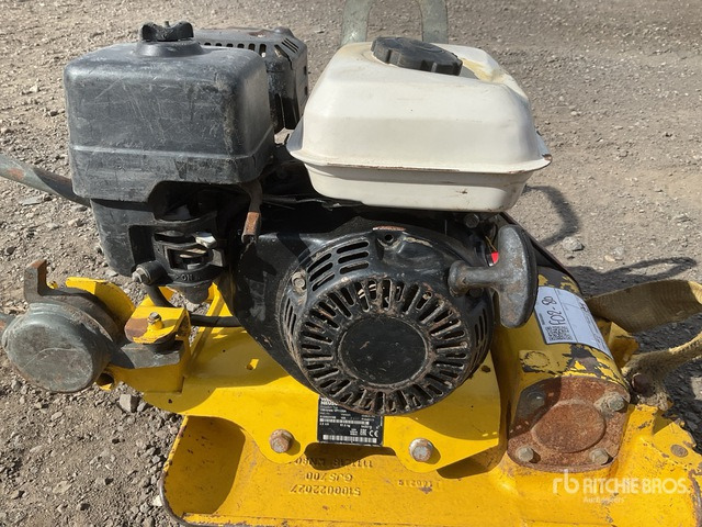 2019 Wacker Neuson VP1135A Vibratory Plate Compactor - Lapvibrátor: 5 kép. 2019 Wacker Neuson VP1135A Vibratory Plate Compactor - Lapvibrátor: 5 kép.