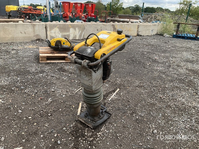 2021 Wacker Neuson BS60-2I Jumping Jack Tamper - Döngölőgép: 1 kép. 2021 Wacker Neuson BS60-2I Jumping Jack Tamper - Döngölőgép: 1 kép.